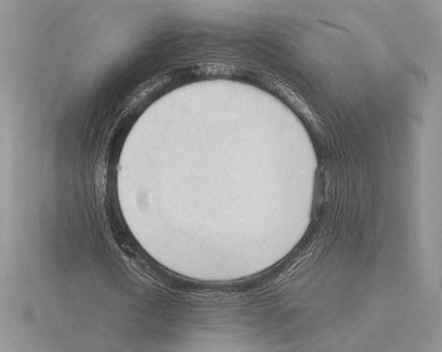 X0000115780722200912111126