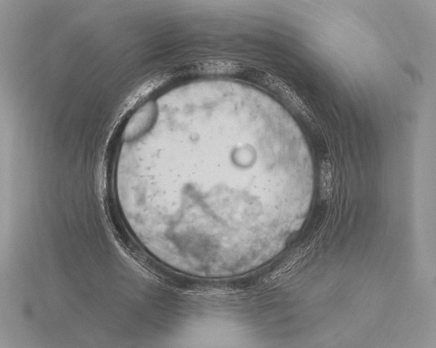 X0000115780726200912111126