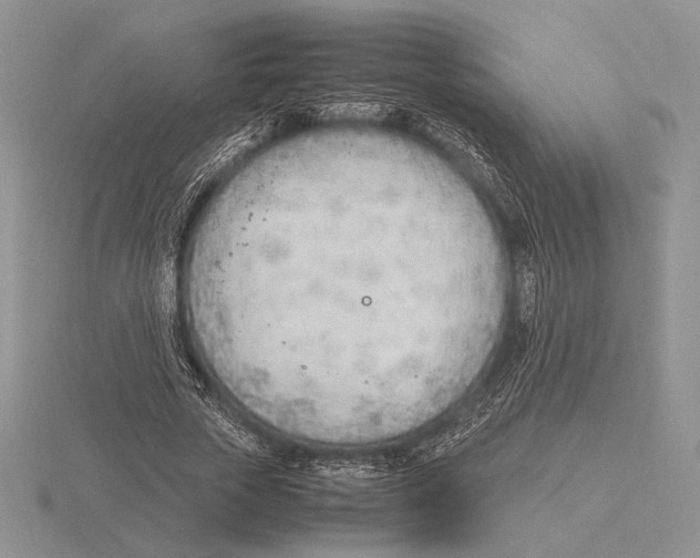 X0000115780729200912111126