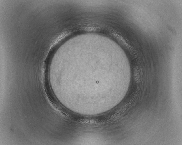 X0000115780730200912111126