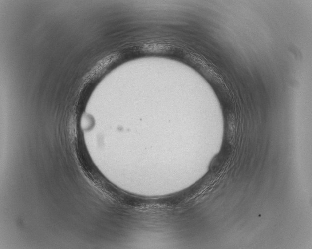 X0000115780734200912111127