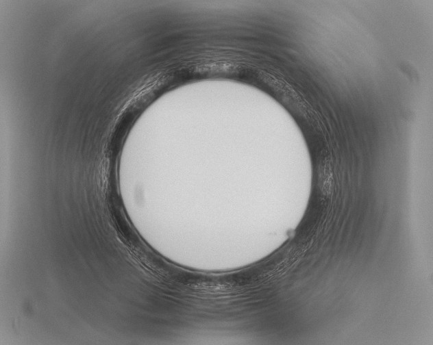 X0000115780735200912111127