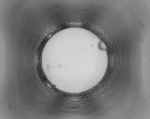 X0000115780739200912111127