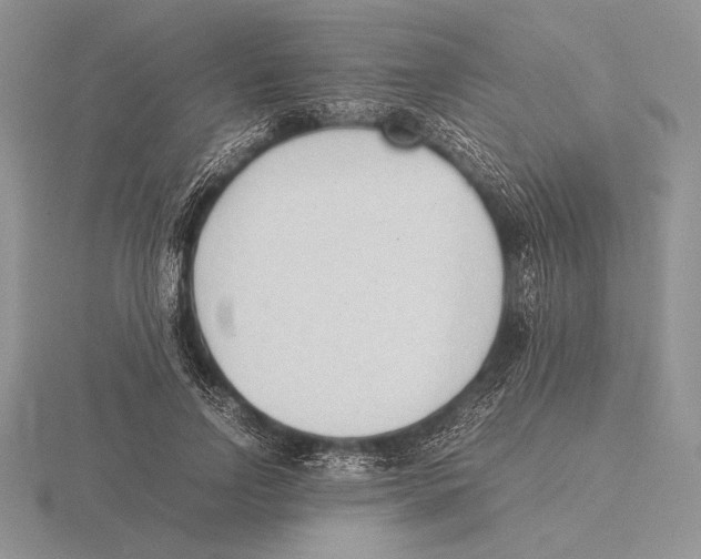 X0000115780742200912111127