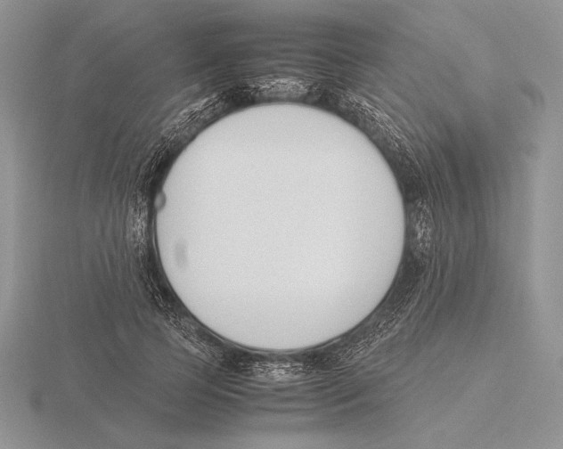 X0000115780745200912111127