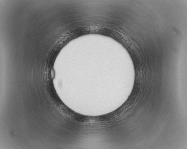 X0000115780750200912111127