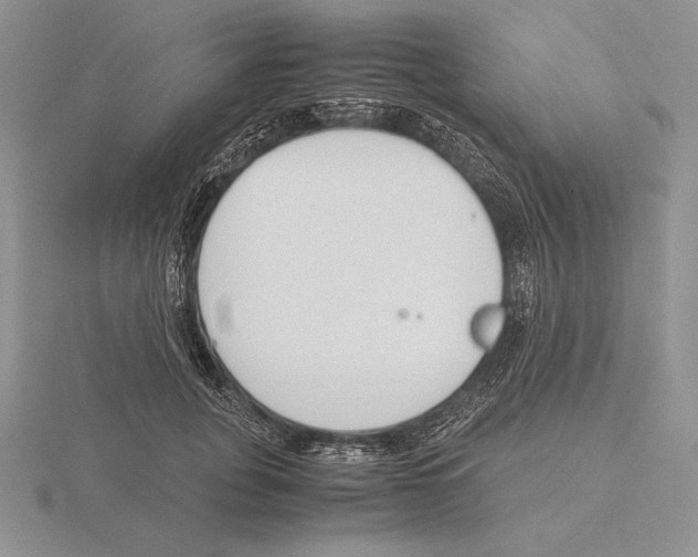 X0000115780751200912111127