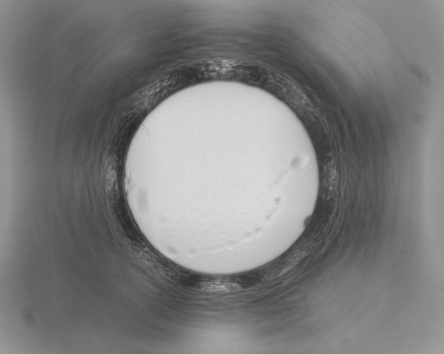 X0000115780754200912111127