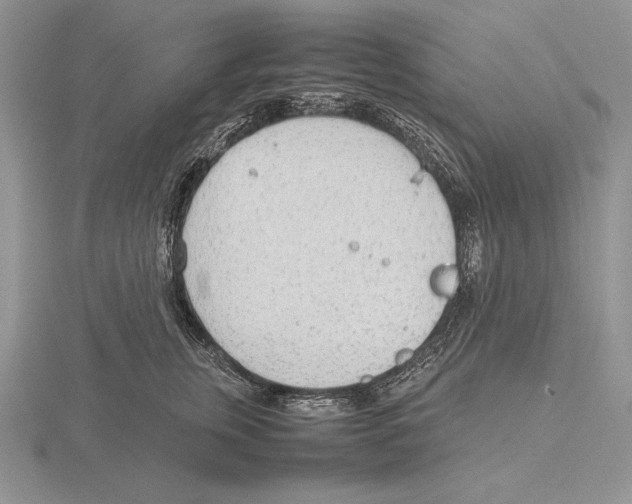 X0000115780759200912111127