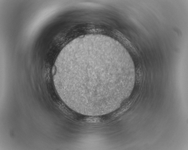 X0000115780762200912111127