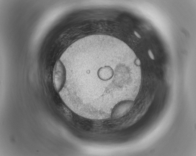 X0000115780766200912111127