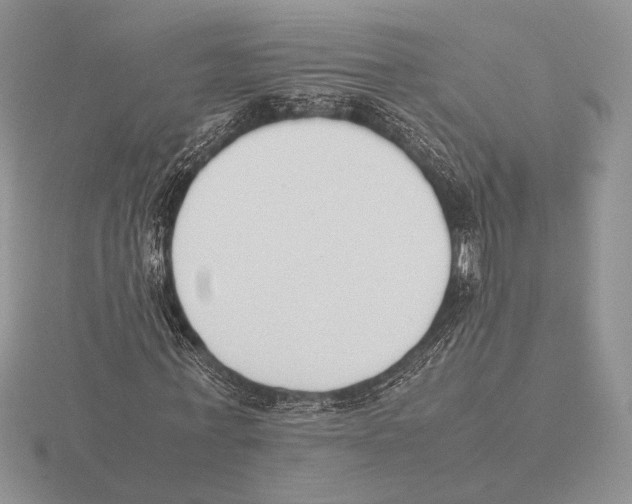 X0000115780771200912111126