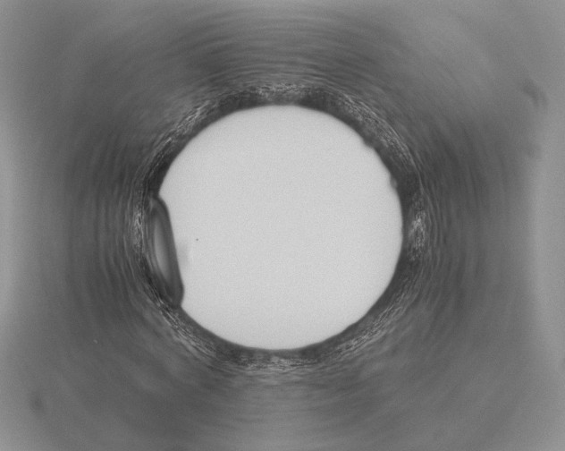 X0000115780772200912111126