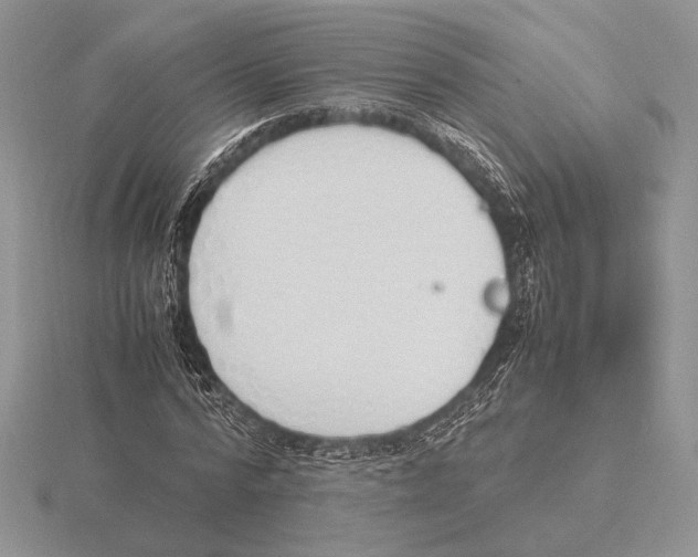 X0000115780776200912111126