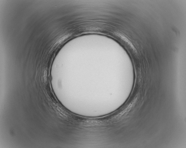 X0000115780777200912111126