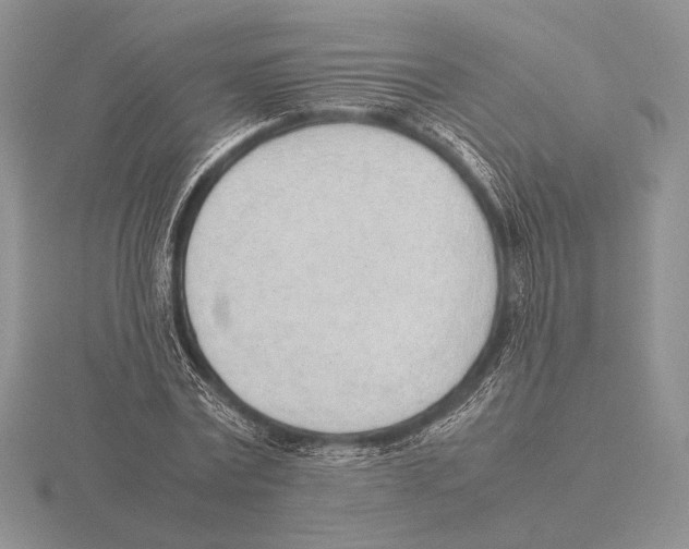 X0000115780779200912111126