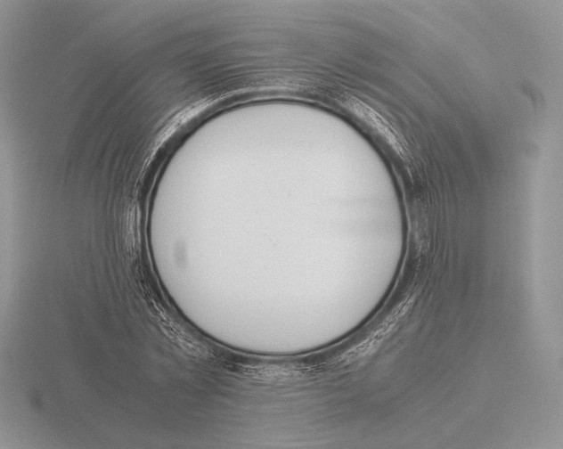 X0000115780781200912111126