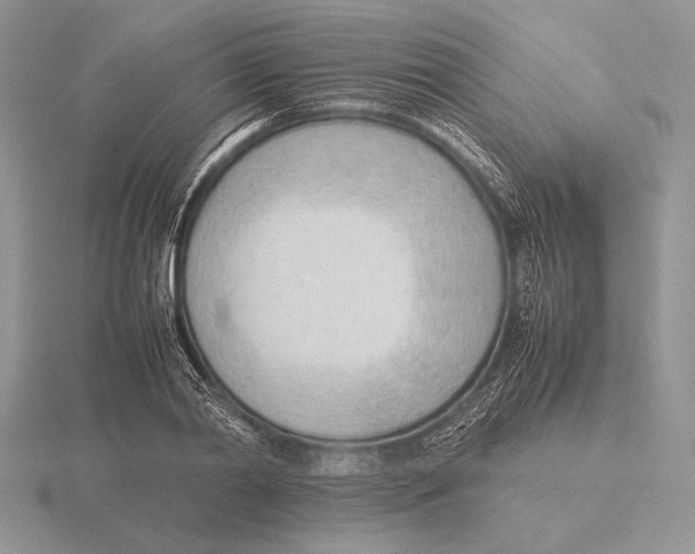 X0000115780790200912111126