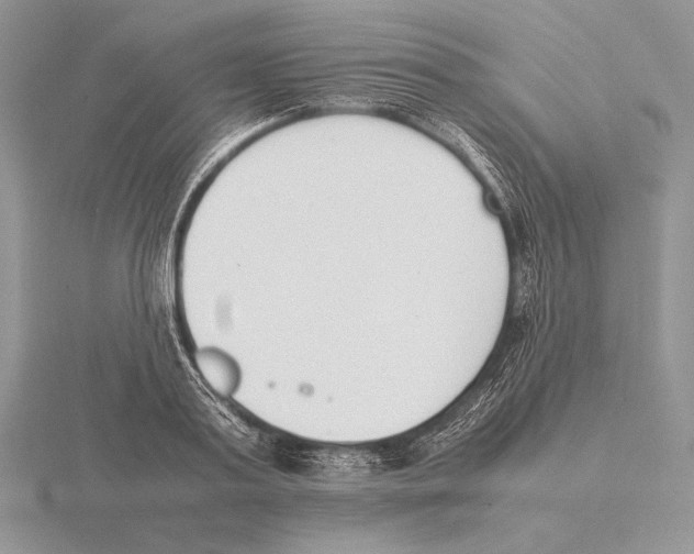 X0000115780795200912111126