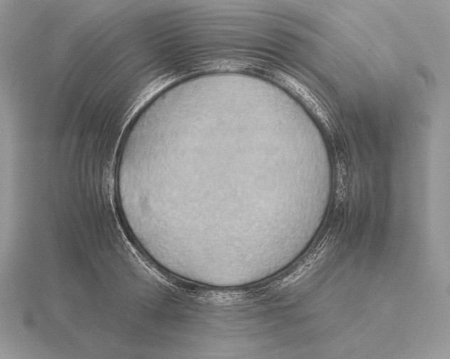 X0000115780802200912111126