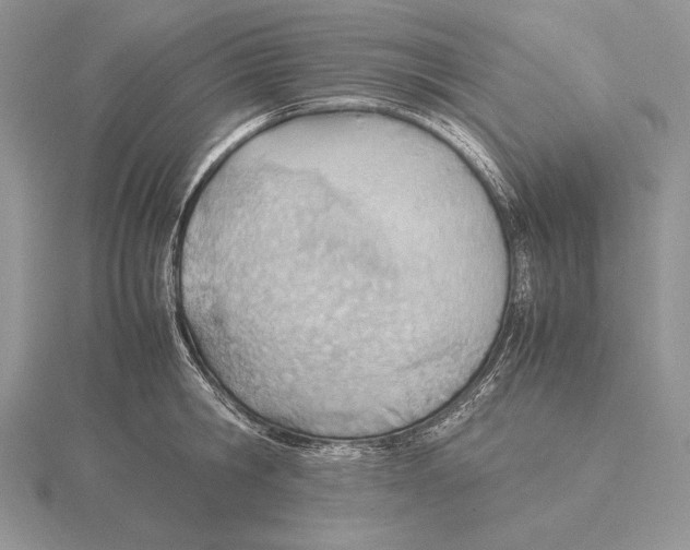 X0000115780806200912111126