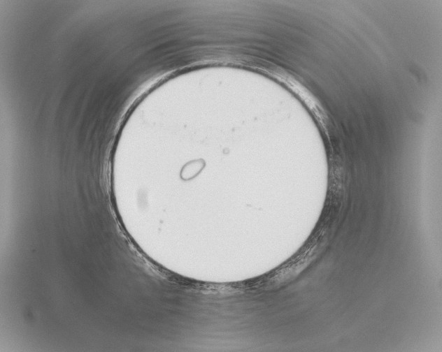 X0000115780807200912111126