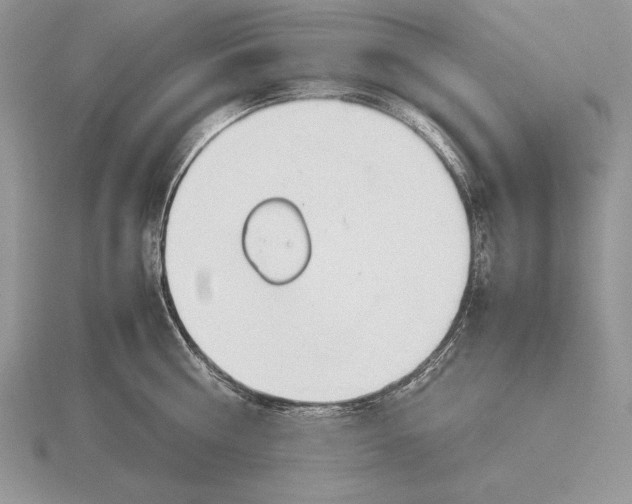 X0000115780810200912111126