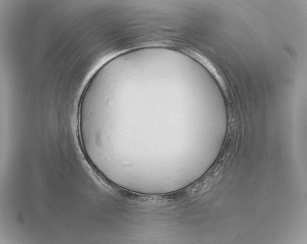 X0000115780811200912111126