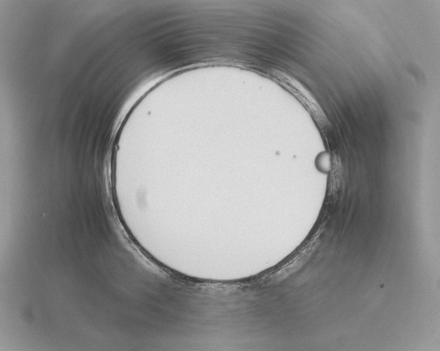 X0000115780812200912111126