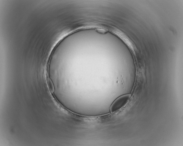 X0000115780813200912111126