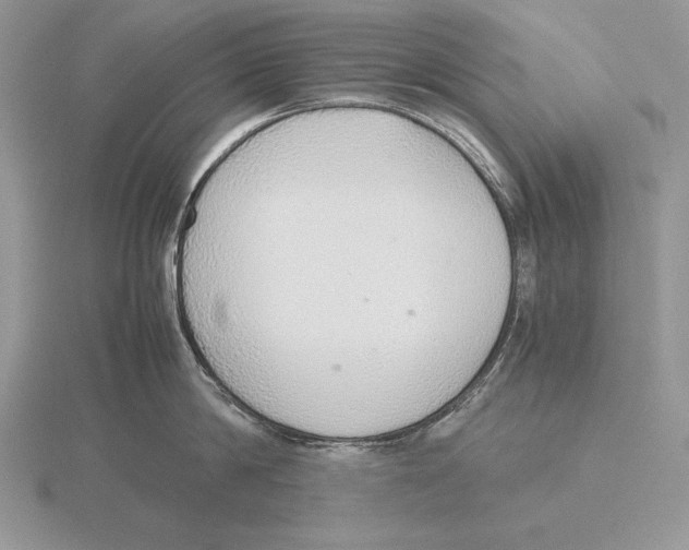 X0000115780814200912111126