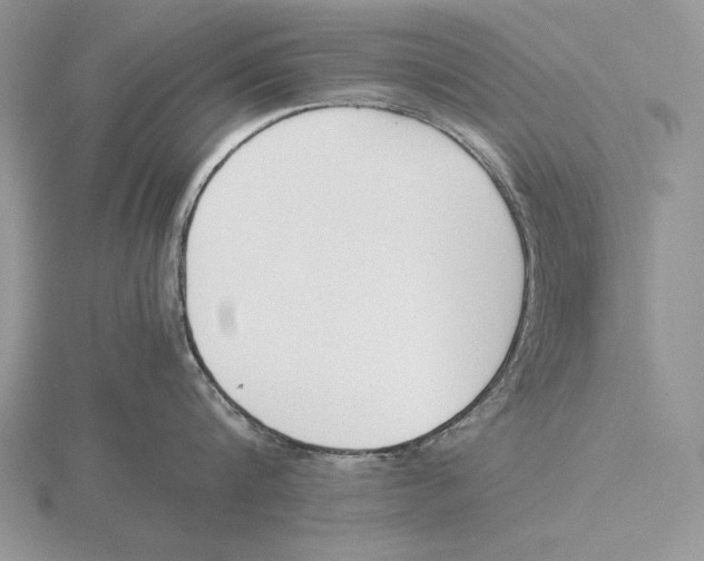 X0000115780816200912111126