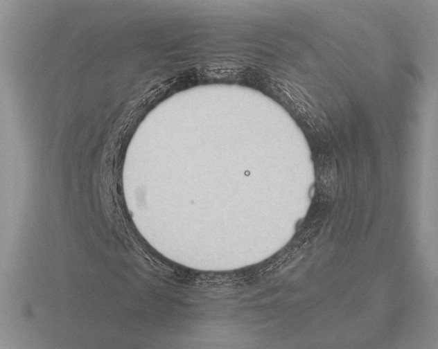 X0000115780817200912111125