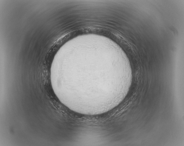 X0000115780822200912111125