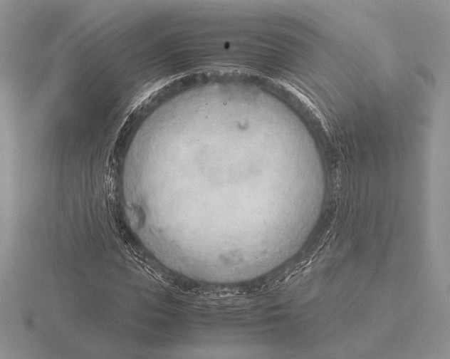 X0000115780823200912111125