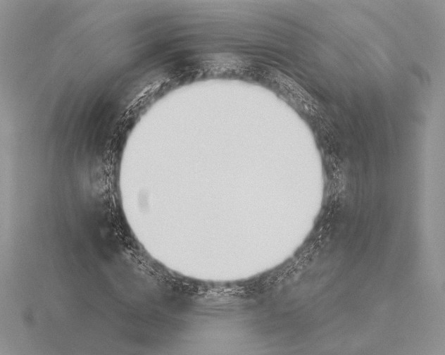 X0000115780824200912111125