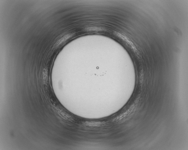 X0000115780825200912111125