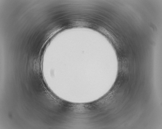 X0000115780828200912111125