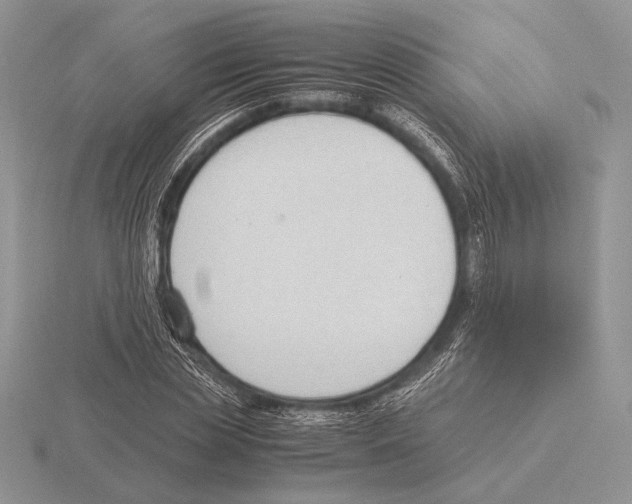 X0000115780829200912111125