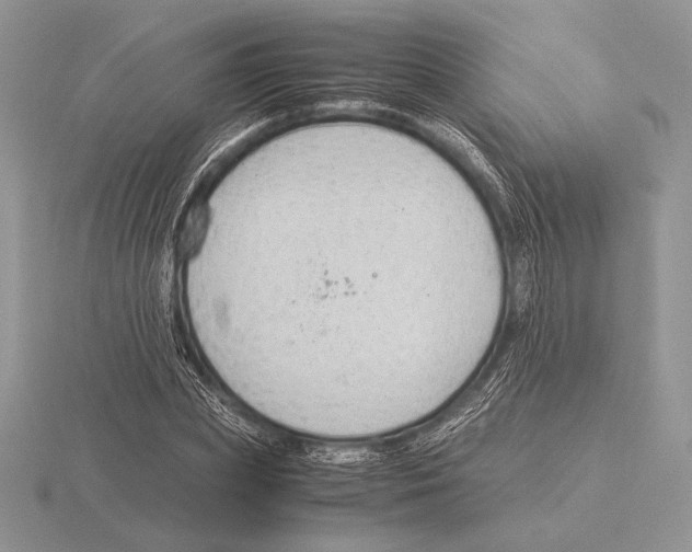 X0000115780831200912111125