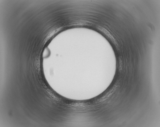 X0000115780834200912111125