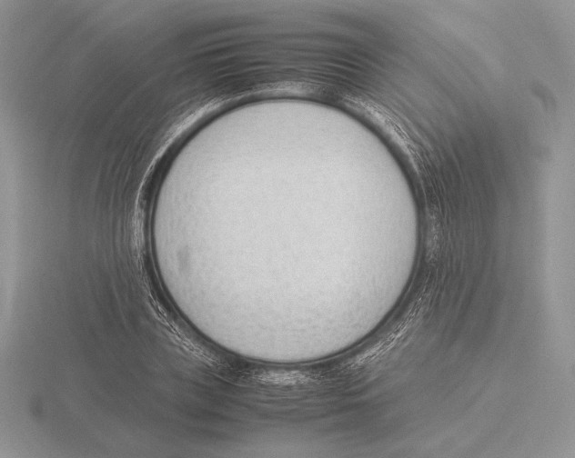 X0000115780835200912111125