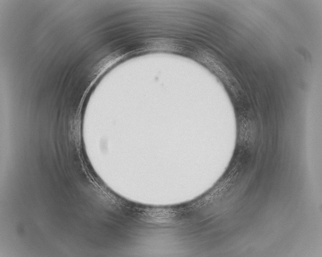 X0000115780836200912111125