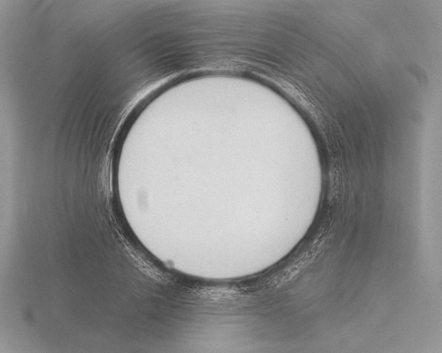 X0000115780838200912111125