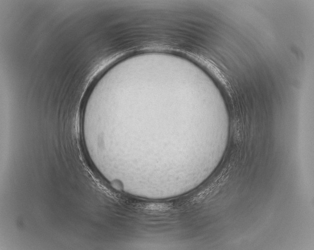 X0000115780839200912111125