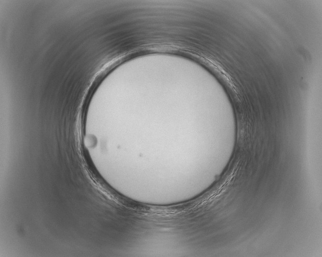 X0000115780840200912111125