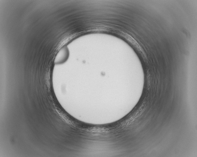 X0000115780842200912111125