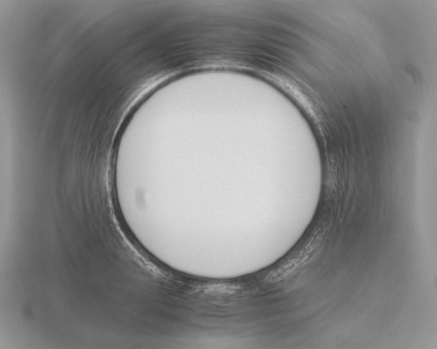 X0000115780847200912111125