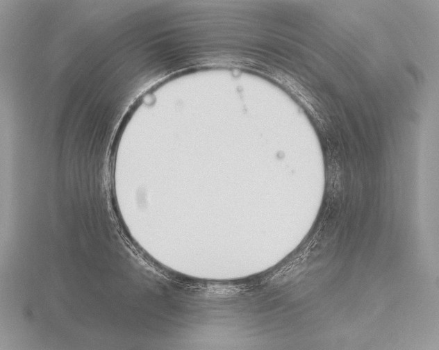 X0000115780848200912111126