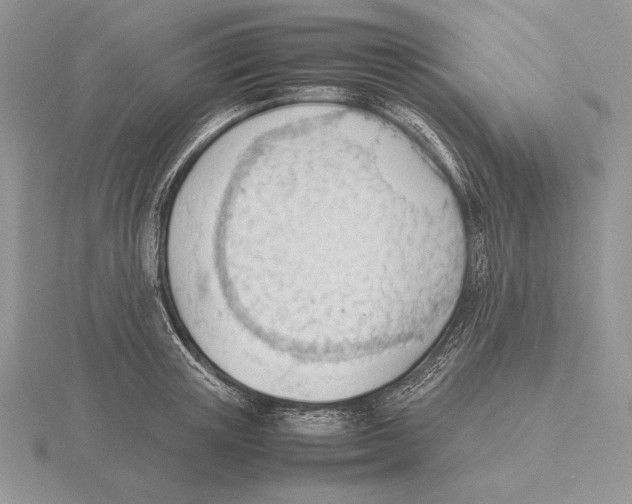 X0000115780851200912111126